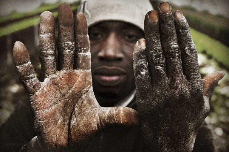 Worker's hands. Moro Musah, from Cote D'Avoire, works for 25 euro a day in greenhouses growing spinach and tomatos.