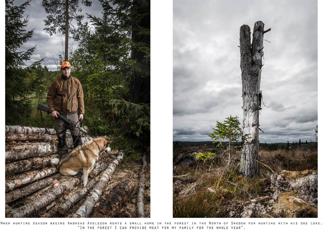 7.226 foto e immagini di Paper Forest - Getty Images